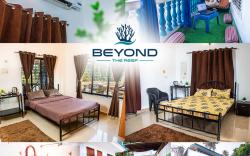 Beyond the Reef - Nestin'Goa Homestays
