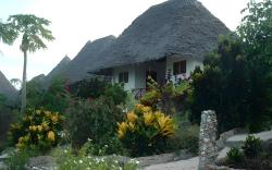 Sazani Beach Lodge and Tidal Lounge