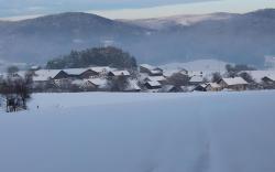 Gasthaus Zur Waldesruh