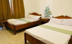 Master Monkey Hostel