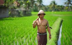 Villa Mandi Resort & Spa