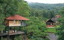 Avadale Wayanad (Stag Groups Not Allowed)