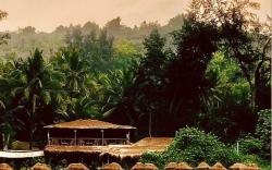 Palm Grove Beach Resort