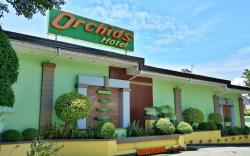 Orchids Drive Inn