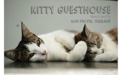 Kitty Guesthouse