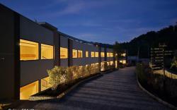 Mount Pico Resorts