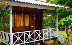 Little Pumpkin Cabanas