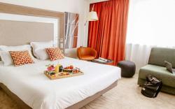 Novotel Lyon Confluence Hotel