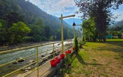 Treepie River Resort By Live Inn Rishikesh