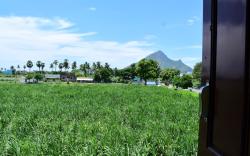 Tiru Arunachala Mountain View  House