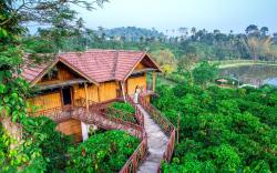 Niyatma Wayanad Premium Resort by VOYE HOMES