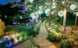Gapyeong The Stay Healing Park