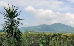 Eiyuu Hotels - Wildlife Nature Stayz