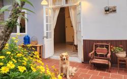 Bơ Đào Homestay