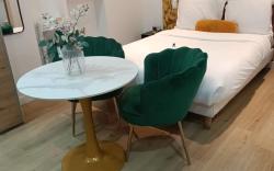 Modern Renovated studio with a touch of gilded glamour central Paris