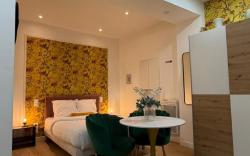 Modern Renovated studio with a touch of gilded glamour central Paris