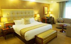 Jupiter International Hotel Bole