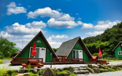Pinescent Pension