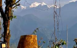 MayaTels - Maya Eco Huts, Pelling