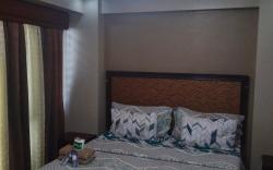 Nadzcondotel1 Two Palm Tree Villas across NAIA - 3