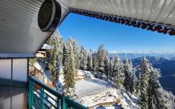 Hotel Ranveer Palace