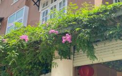 SPRING HOME