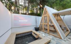 Gangneung Stay Momo