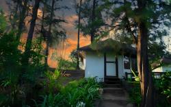 Exotica - The Beach Resort 