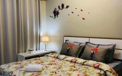 Perfect for travellers , Super near Airports 1432