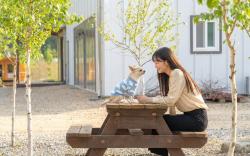 inje darani pet pension