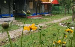 Riverstep Nature Camp 