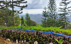 Island Skyview Resort-JVR by Hiverooms