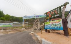 Gangwon Taegisan morning birdsong