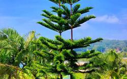 Cloud9Villa Yelagiri