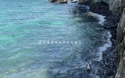 Hidden Coral Beach Club & Resort