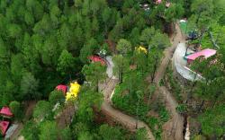 Shiv Forest Villas