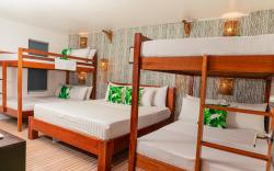 DENGI INN EL NIDO