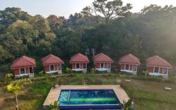 RevTree Dark Forest Inn