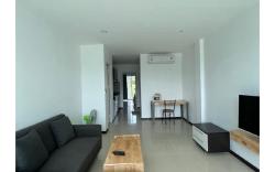 Big Apartment with Garden view