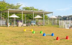 yeosu canada meo  village pet pension