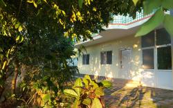 Shreeyaas Garden view ground floor suite 