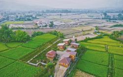 Origina Farm