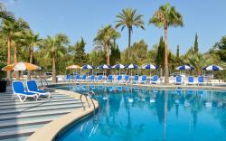 tent Mojito Suites