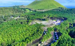 Forest Glamping - Kanade no Mori Resorts, Shizuoka, Ito