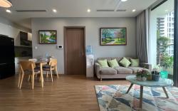 Luxhousing02#Apt 2Br Vinhomes skylake#keangnam