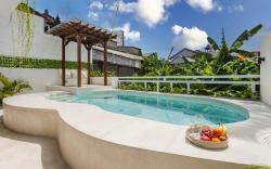 NEW Deluxe Villa Canggu - 2 BR