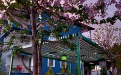paradise house
