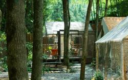 Jingdezhen Tree Heart House B&B- 景德镇树园心舍民宿