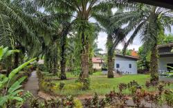 Khao Sok Palm Garden Resort