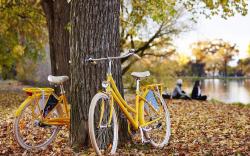 Mercure Bendigo Schaller